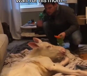 P1302005 Woman know best! (Part 2)