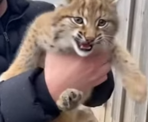 P1302009 Gentle courage made the change (Part 2)