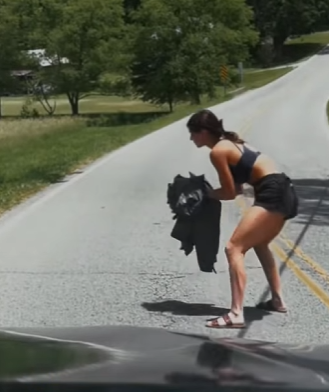 A1102004 Rescatar mapaches (Parte 2)