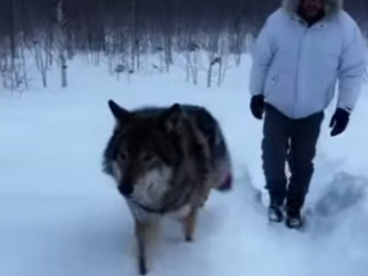 F3101004 This moment changed everything (Part 2)