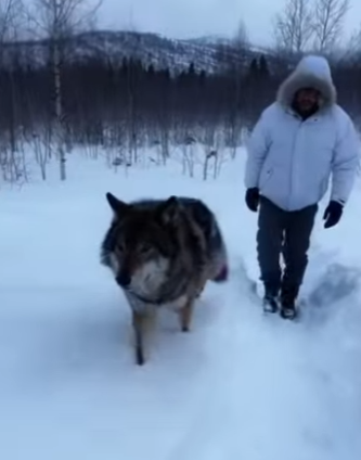 F3101004 This moment changed everything (Part 2)