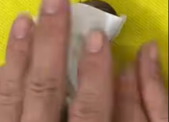 A1102002 Amanda rescató un loro que se estaba ahogando, pero esto fue lo que (Parte 2)