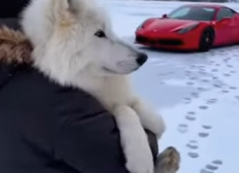 F3101012 Kind hearts created a new path (Part 2)