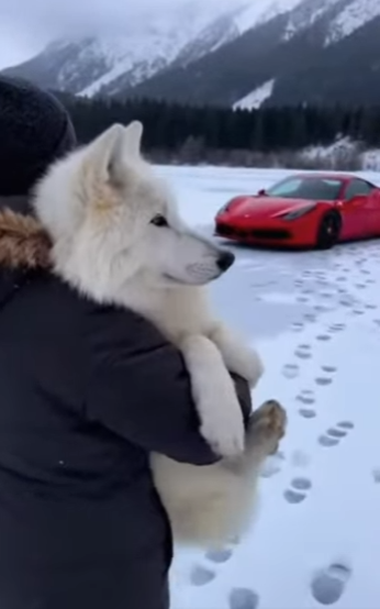 F3101012 Kind hearts created a new path (Part 2)