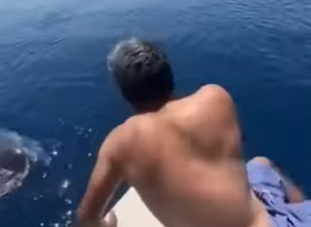 C0802011 Brave Divers Save Distressed Whale Shark (Part 2)