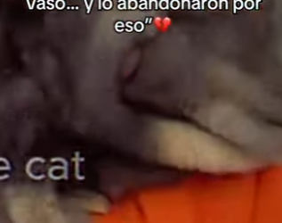 M1302008 Su crimen fue romper un vaso lo abandonaron por eso part2