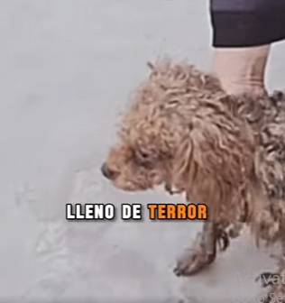 M1302002 Viví escondido como una rata hasta que conocí el amor (Parte 2)