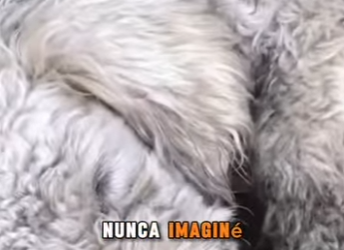 M1302004 Cem brado frente la escalera, esperando quienes nunca volvieron (Parte 2)