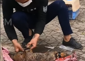 M1302007 Amarrado con cinta, abandonado mi suerte (Parte 2)