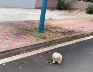 M1302010 Mi crimen fue nacer discapacitado mi castigo, el abandono (Parte 2)