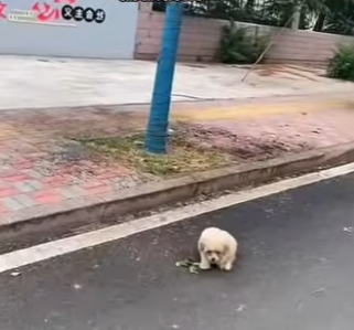 M1302010 Mi crimen fue nacer discapacitado mi castigo, el abandono (Parte 2)