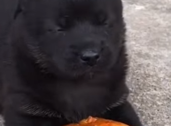 M1302003 Abandonado, solo con miedo así lloré por mi mamá (Parte 2)