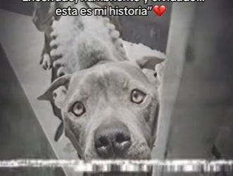 M1302011 Encerrado, hambriento olvidado esta es mi historia (Parte 2)