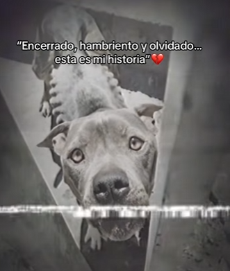 M1302011 Encerrado, hambriento olvidado esta es mi historia (Parte 2)