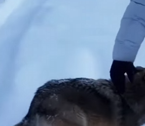 F3101003 When empathy takes action (Part 2)