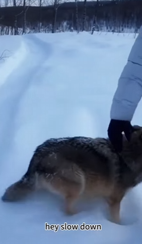 F3101003 When empathy takes action (Part 2)