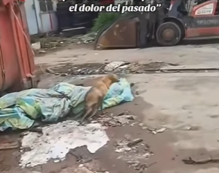 M1502021 Ya no puedo caminar pero aún siento el dolor del pasado (Parte 2)