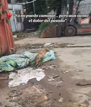 M1502021 Ya no puedo caminar pero aún siento el dolor del pasado (Parte 2)