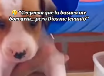 M1502022 Creyeron que la basura me borraría pero Dios me levantó (Parte 2)