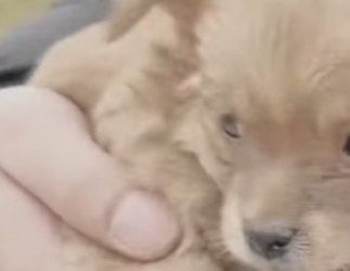 M1502005 La lluvia caía como cuchillos yo solo quería vivir (Parte 2)