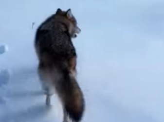 F3101002 From danger into calm care (Part 2)