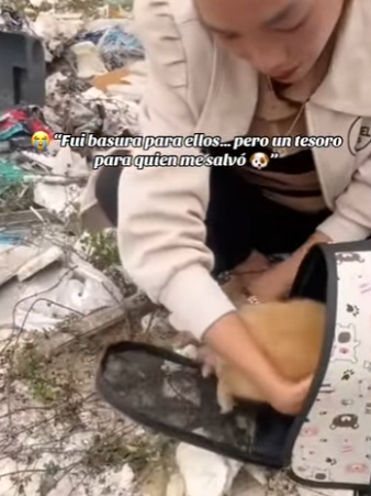 M1502011 Fui basura para ellos pero un tesoro para quien me salvó (Parte 2)