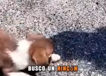 M1502002 Me cansé de correr de las piedras del dolor (Parte 2)