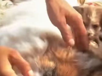 M1502019 Mi mamá quedó tendida en la calle yo solo quería que despertara (Parte 2)