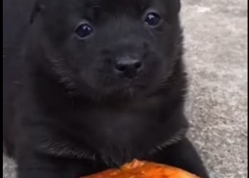 M1502018 Fui basura para ellos pero en mi corazón solo había amor (Parte 2)