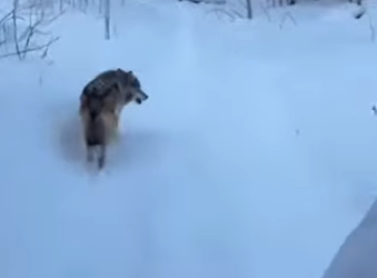 F3101009 Care showed up without hesitation (Part 2)