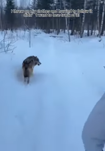 F3101009 Care showed up without hesitation (Part 2)