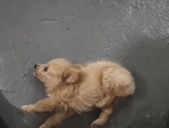 M1502006 Caí al suelo sin fuerzas solo recé por seguir viva (Parte 2)