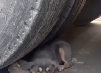 M1502013 Temblando de miedo así aprendí vivir desde que nací (Parte 2)