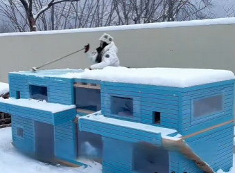 A0202004 La ayuda llego cuando mas se necesitaba (Parte 2)