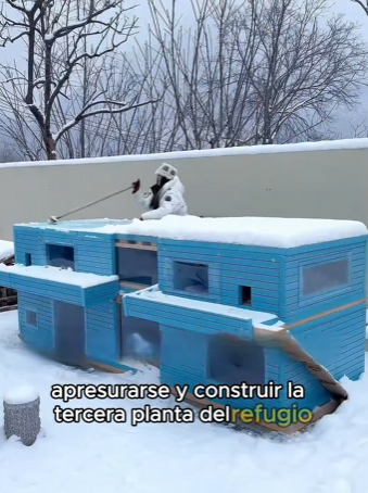 A0202004 La ayuda llego cuando mas se necesitaba (Parte 2)