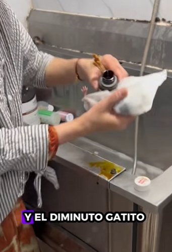 A0202001 El cuidado marco un nuevo comienzo (Parte 2)