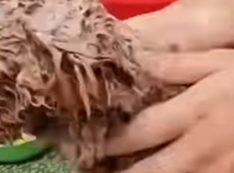 M1302002 Viví escondido como una rata hasta que conocí el amor (Parte 2)