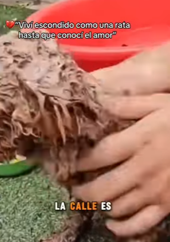 M1302002 Viví escondido como una rata hasta que conocí el amor (Parte 2)