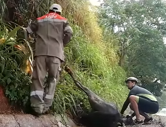 I1002003 Thank you helping (Part 2)