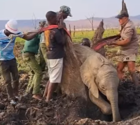 I0802007 Thank you saving her (Part 2)