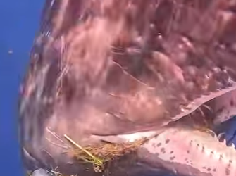 I1002005 Brave woman (Part 2)