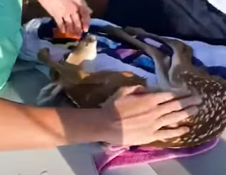 I1002004 Kindhearted souls (Part 2)