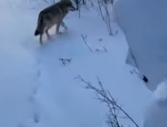 F3101006 Compassion stepped in first (Part 2)