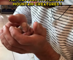C1002003 Man Rescues Mysterious Mountain Creatures (Part 2)