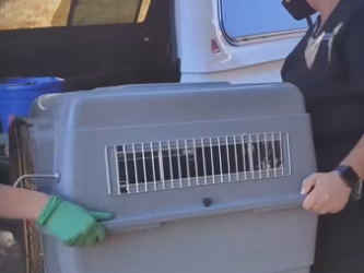 R1302012 Protection started with one decision (Part 2)