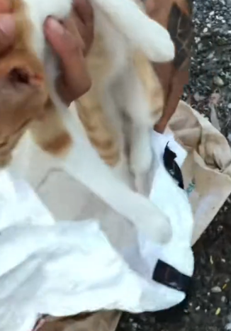 R1302003 A life lifted out of danger (Part 2)