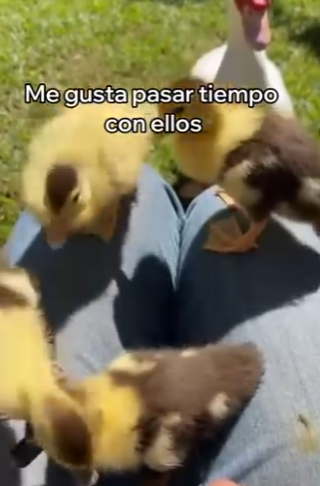 O0202005 La compasion encontro su momento (Parte 2)