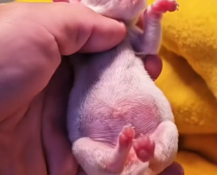 R1302006 Compassion found its way here (Part 2)