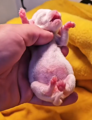 R1302006 Compassion found its way here (Part 2)