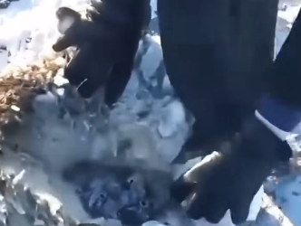 R1302021 man saved deer in distress but he never expected (Part 2)